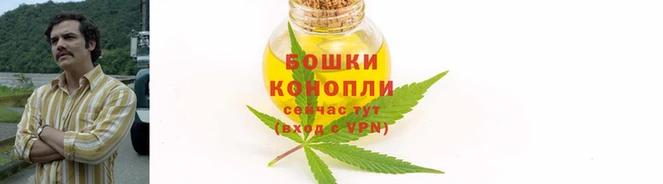 дмт Беломорск