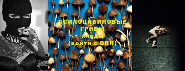 дмт Беломорск